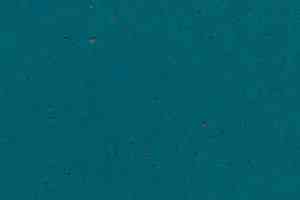 Линолеум Forbo Sphera Energetic 50235 deep emerald фото  | FLOORDEALER